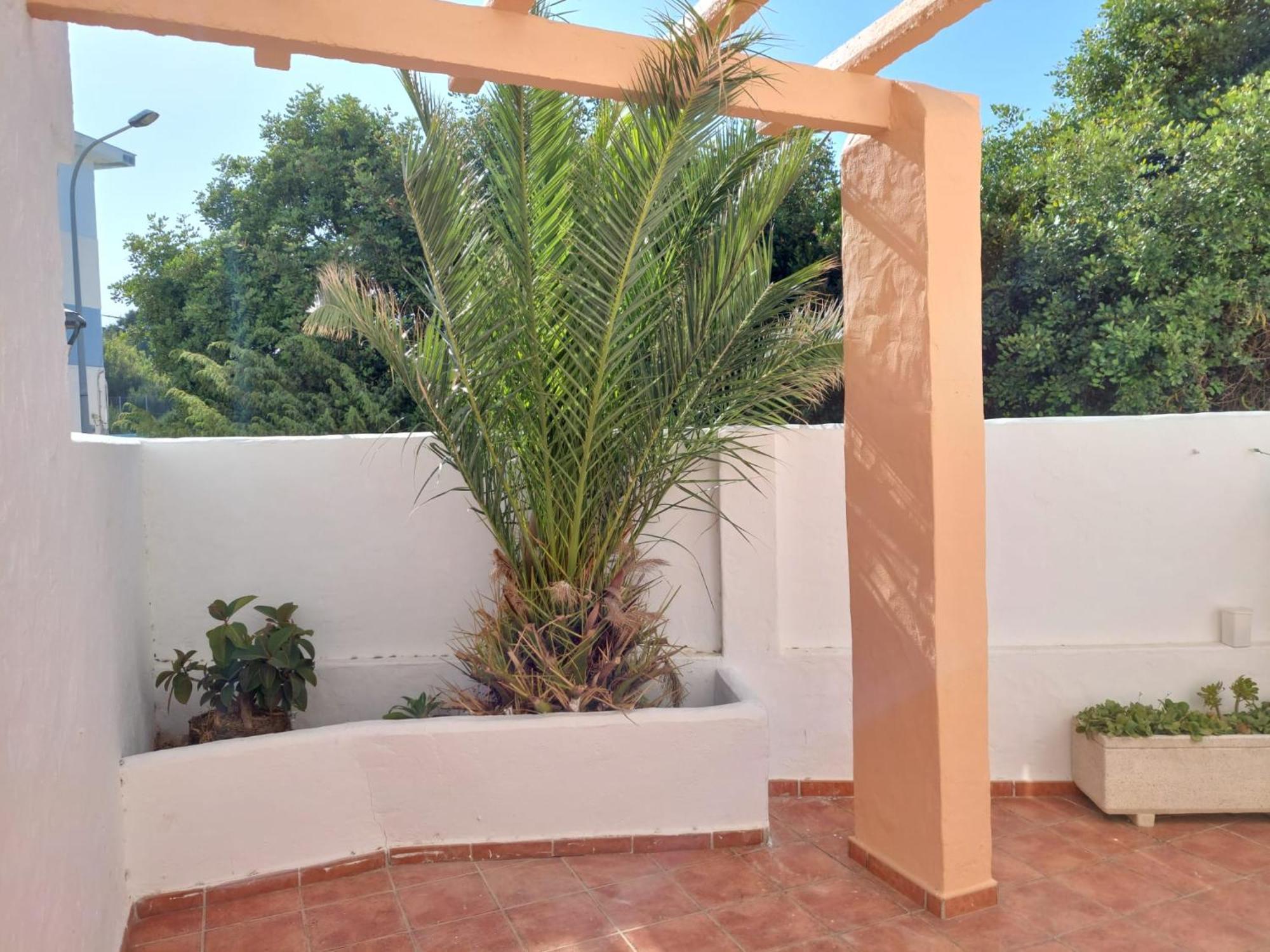 Piscina, Wifi, Patio Con Vistas Apartment Tarifa Exterior foto