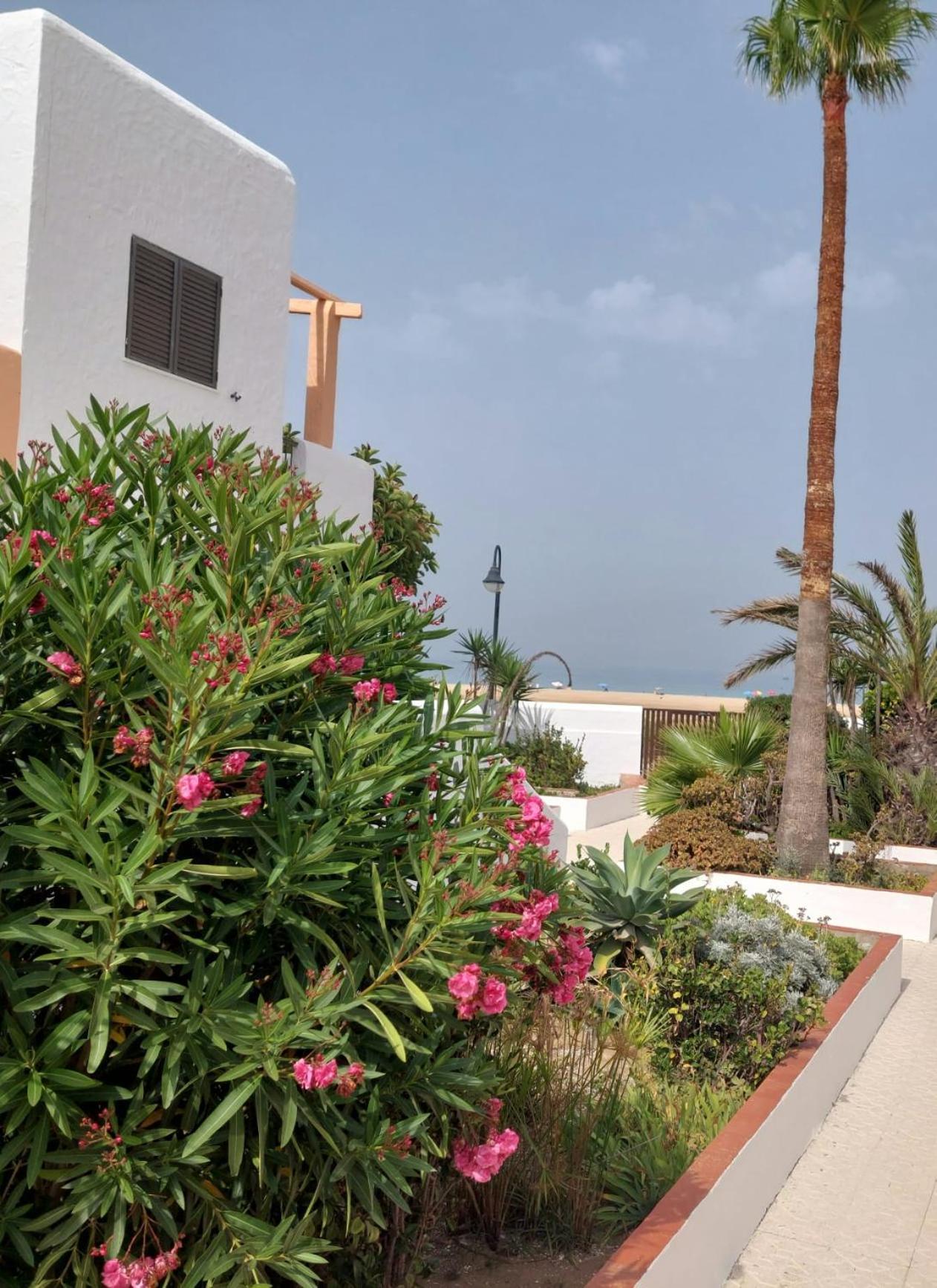 Piscina, Wifi, Patio Con Vistas Apartment Tarifa Exterior foto